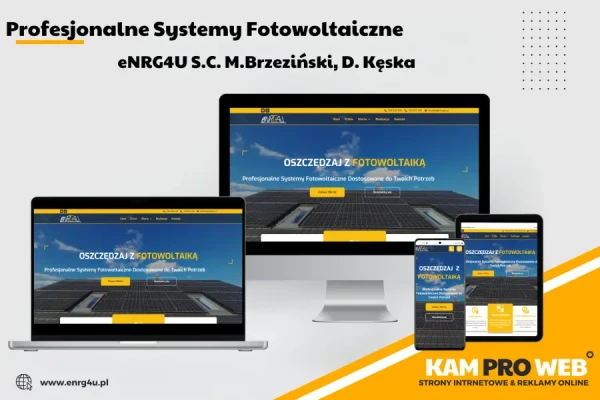 „prowadzenie kampanii Meta Ads Facebook i Instagram”