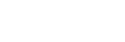 Logo Palm Paradise